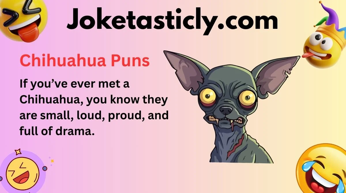 Chihuahua Puns
