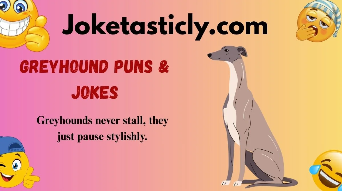 Greyhound Puns & Jokes