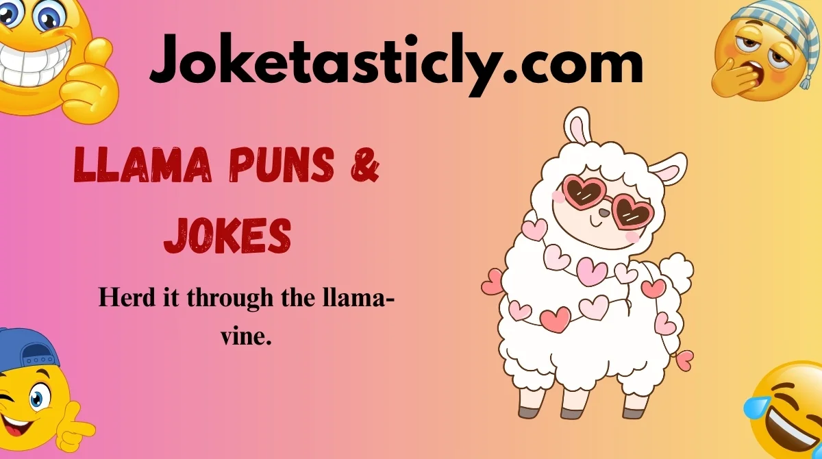 Llama Puns & Jokes
