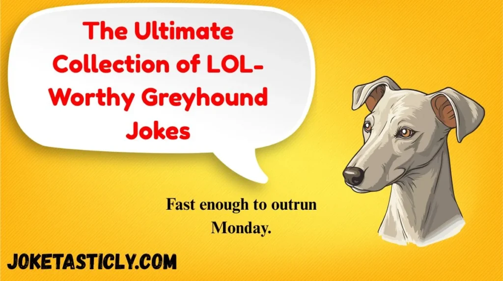 The Ultimate Collection of LOL-Worthy Greyhound Jokes