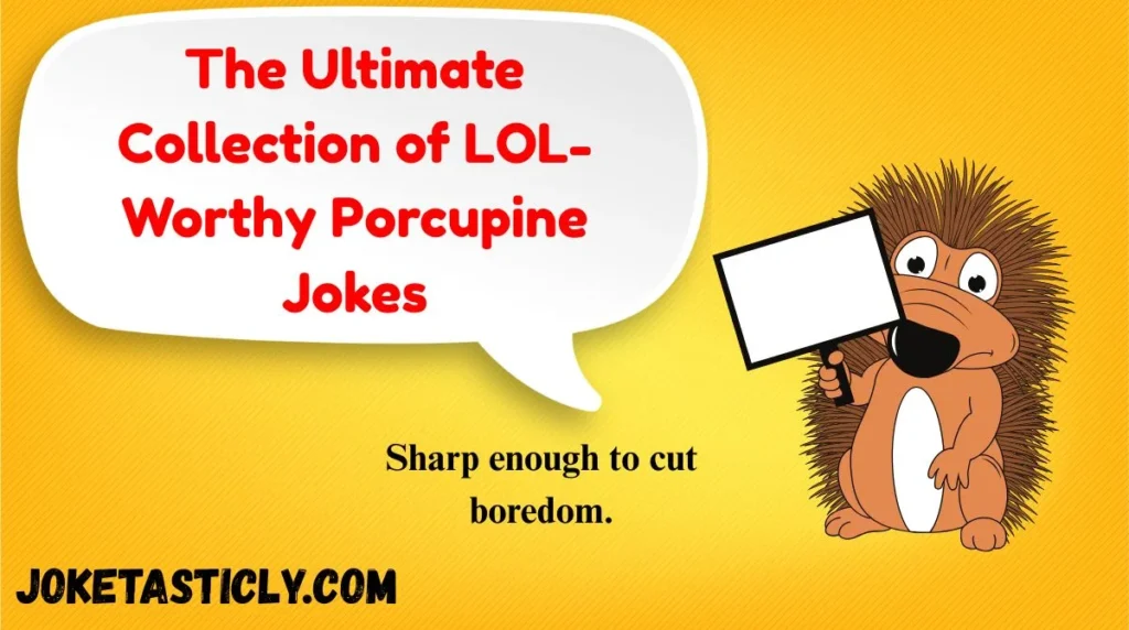 The Ultimate Collection of LOL-Worthy Porcupine Jokes