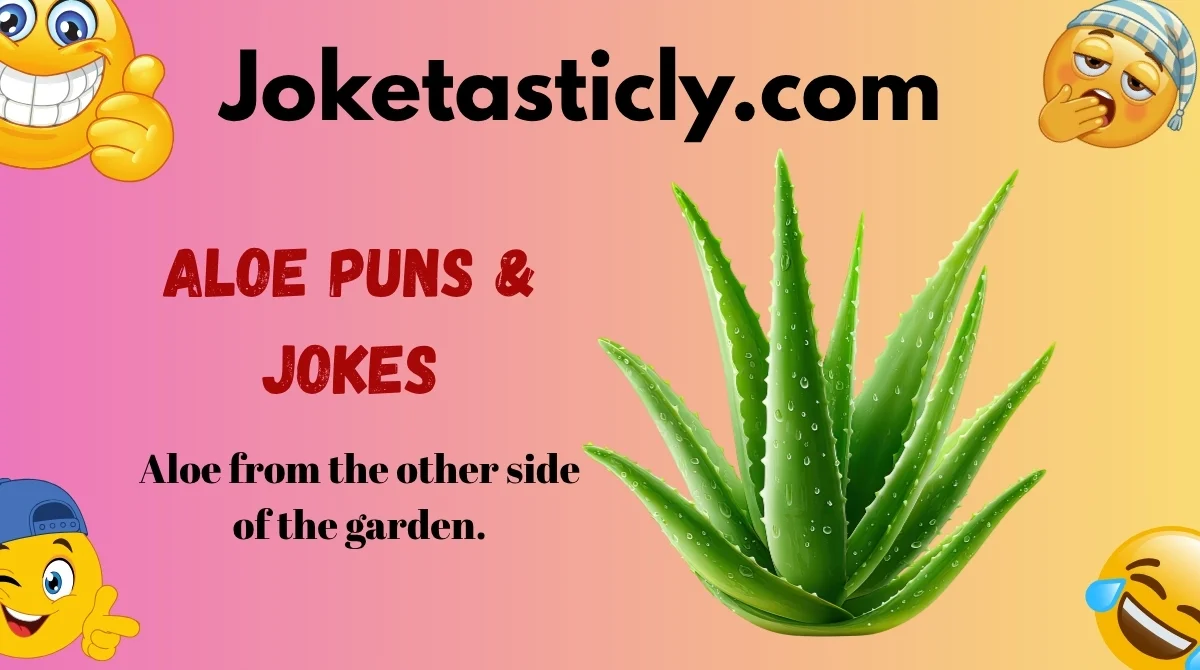 Aloe Puns & Jokes