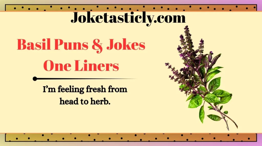 Basil Puns & Jokes One Liners