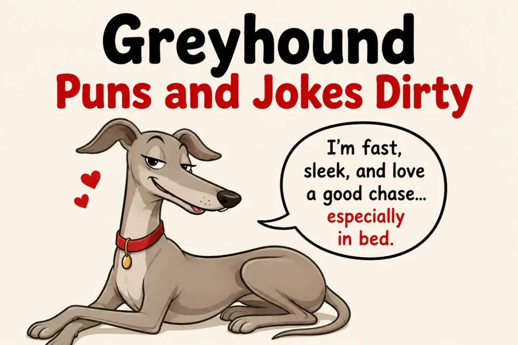 Greyhound Puns and Jokes Dirty