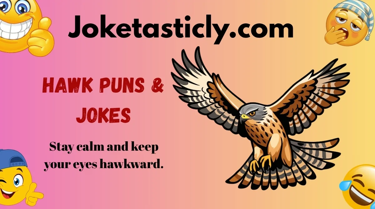 Hawk Puns & Jokes