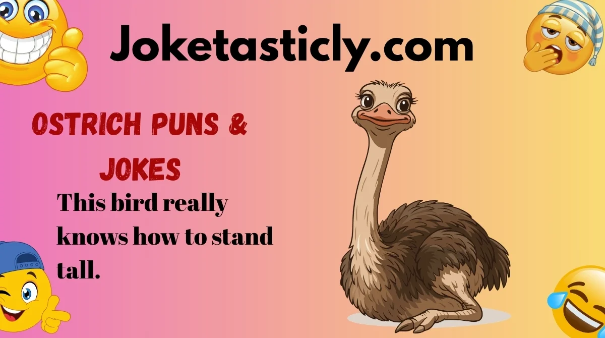 Ostrich Puns & Jokes