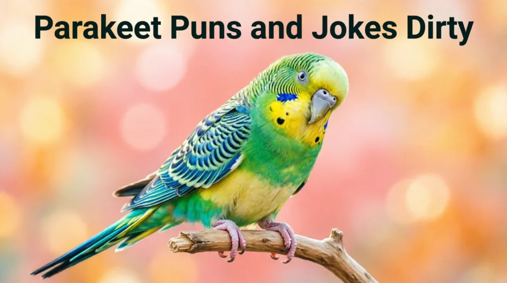 Parakeet Puns and Jokes Dirty