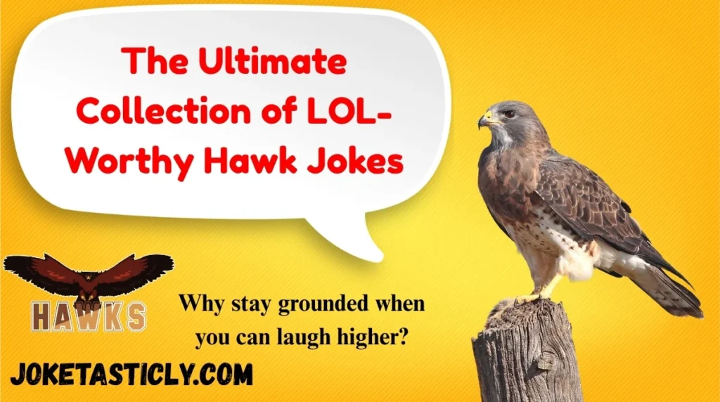 The Ultimate Collection of LOL-Worthy Hawk Jokes