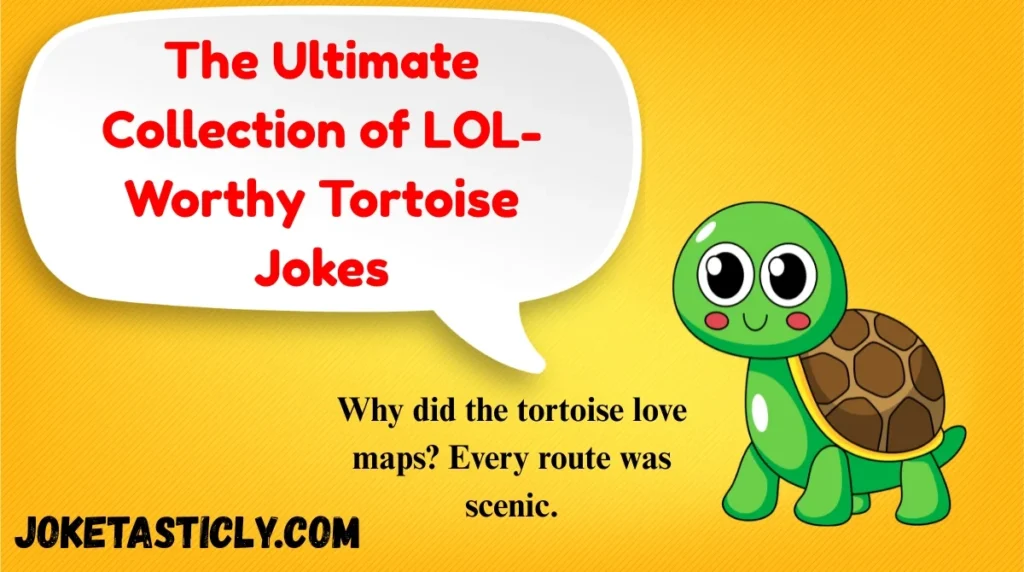 The Ultimate Collection of LOL-Worthy Tortoise Jokes