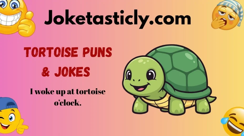 Tortoise Puns & Jokes