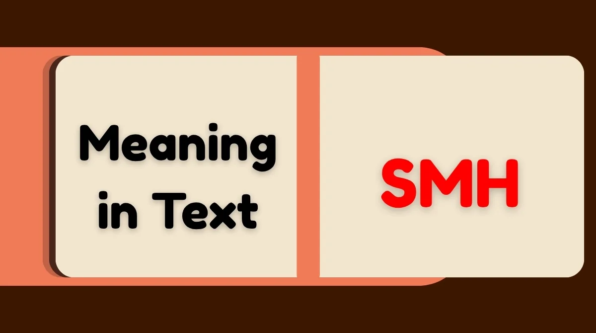 SMH Meaning in Text