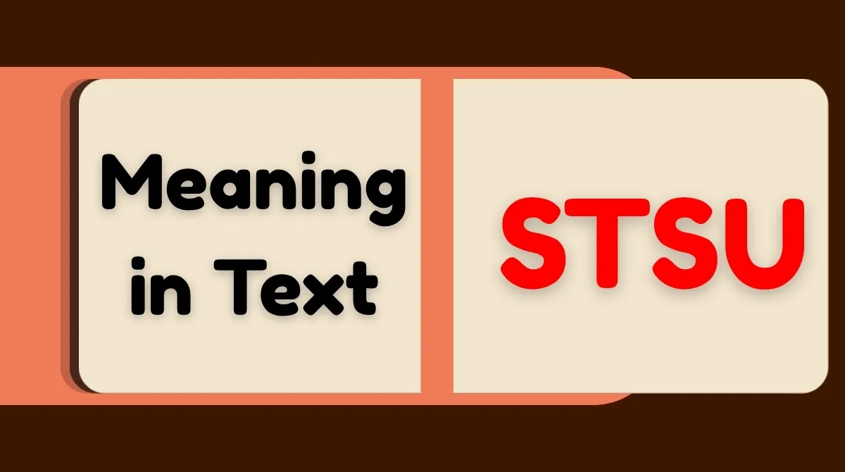 STSU Meaning in Text