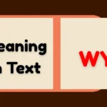 WYS Meaning in Text