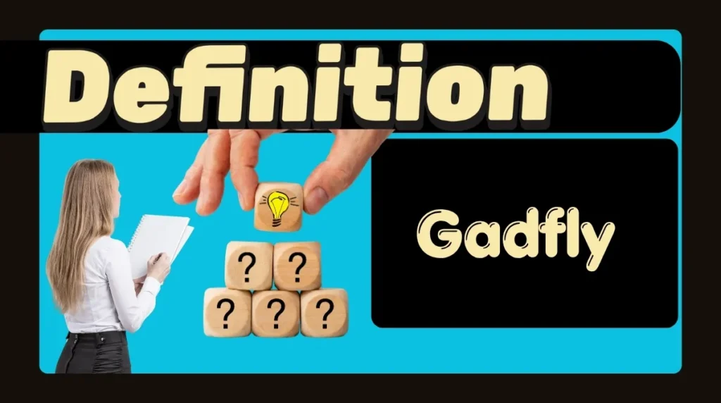 Gadfly Definition