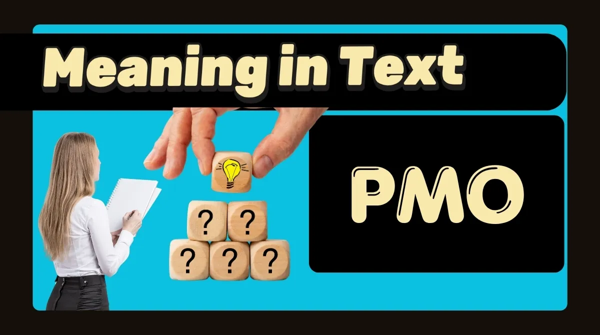 PMO Meaning in Text