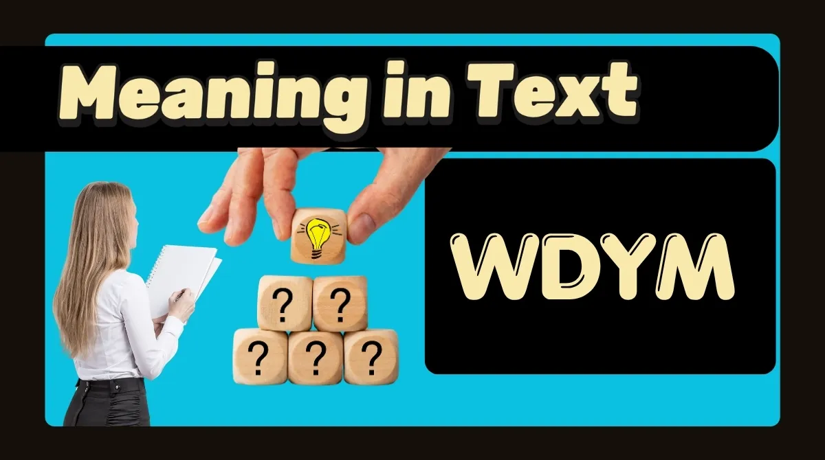WDYM Meaning in Text